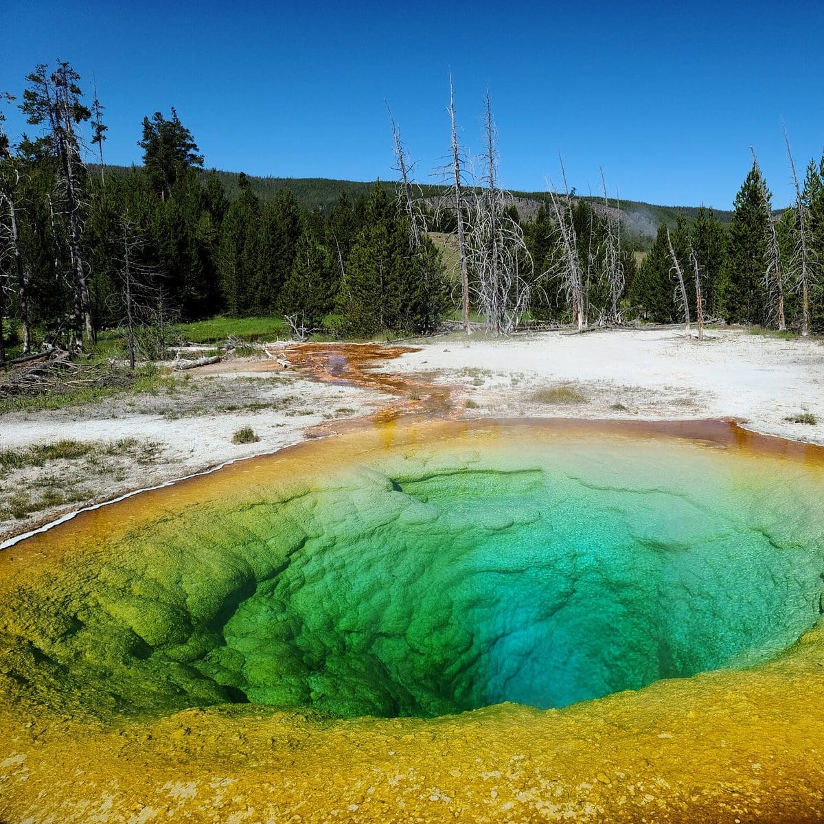 Best Time To Visit Yellowstone – Complete Guide