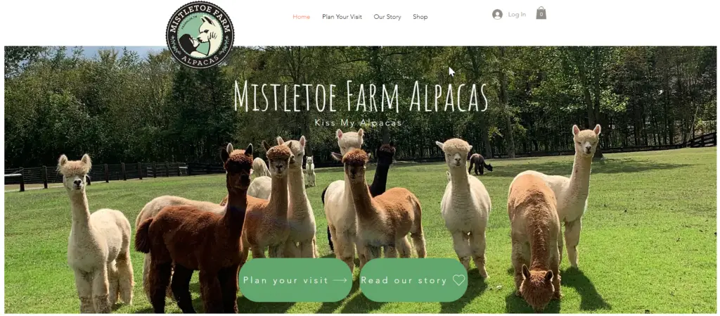 Mistletoe Farm Alpacas